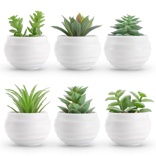 Der Rose Set of 6 Succulents Plants Artificial in Pots Small Fake Plants for Bedroom Aesthetic Living Room Office Shelf Bathroom Decor - The One Stop Deals