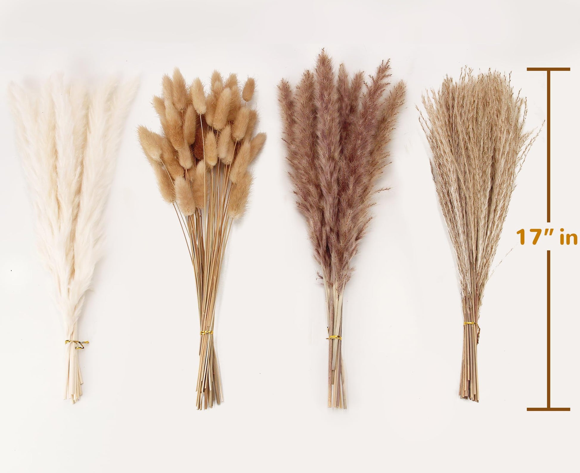 Dried Pampas Grass Decor, 100 Stems Pampas Grass Contains Bunny Tails Dried Flowers, Reed Grass Bouquet for Wedding Boho Flowers Home Table Decor, Rustic Farmhouse Party (17", White and Brown) - The One Stop Deals