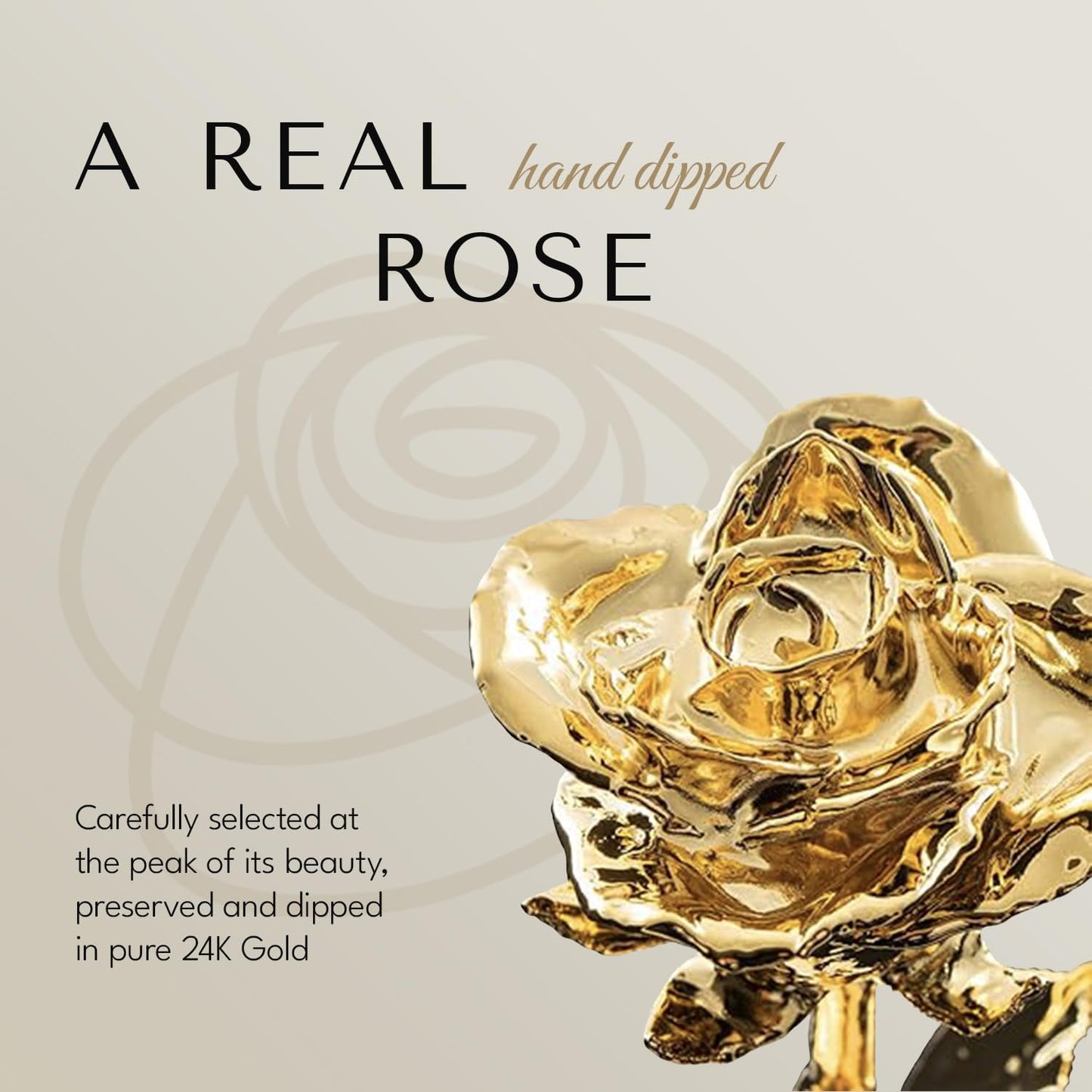 Forever Rose Real 24K Gold Dipped Rose & Clear Glass Bud Vase | Genuine, One of A Kind, and Hand Dipped 24K Gold Rose | Everlasting Forever Flower | Romantic Gift for Women and Man - The One Stop Deals