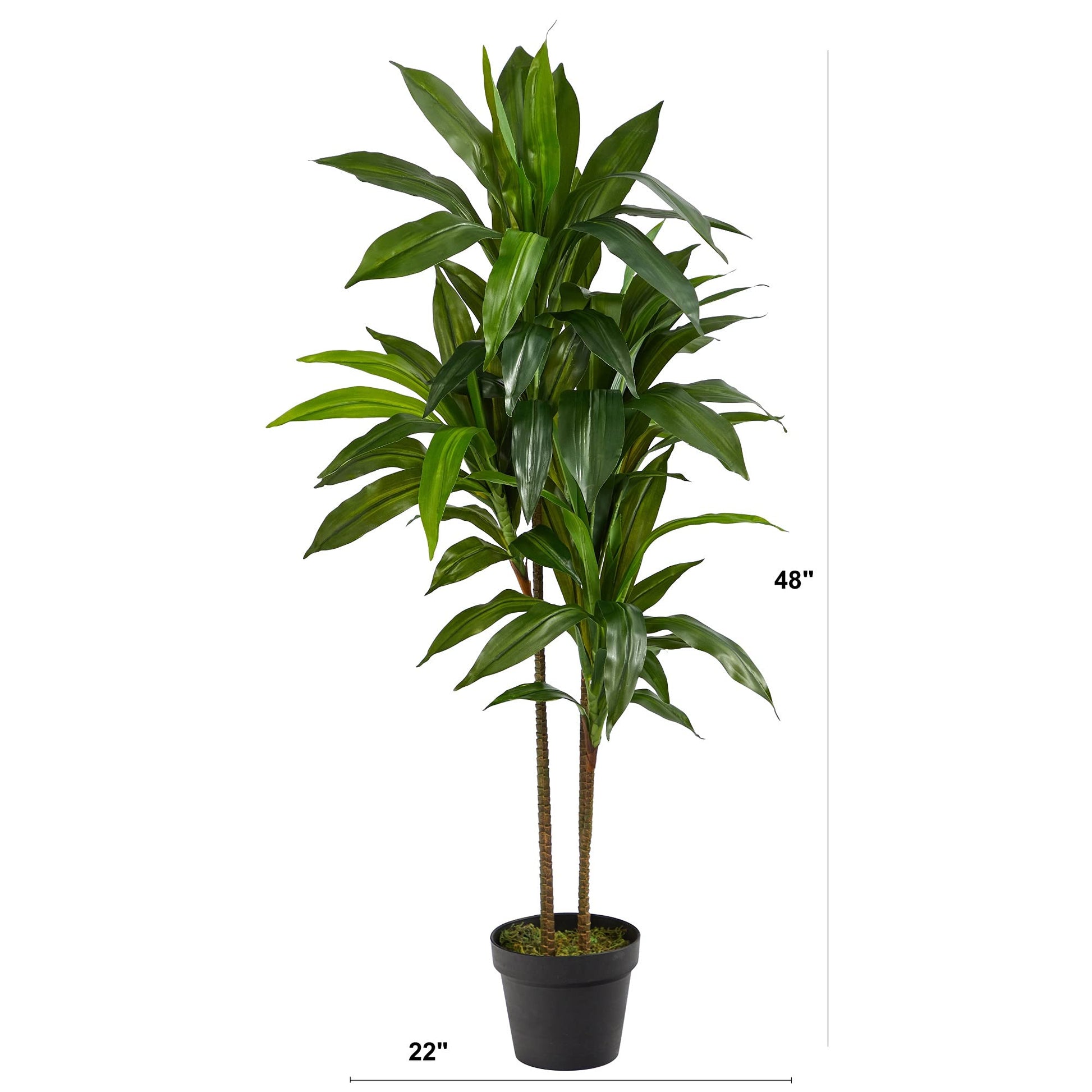 Nearly Natural 48" Dracaena Silk Plant (Real Touch) Green - The One Stop Deals