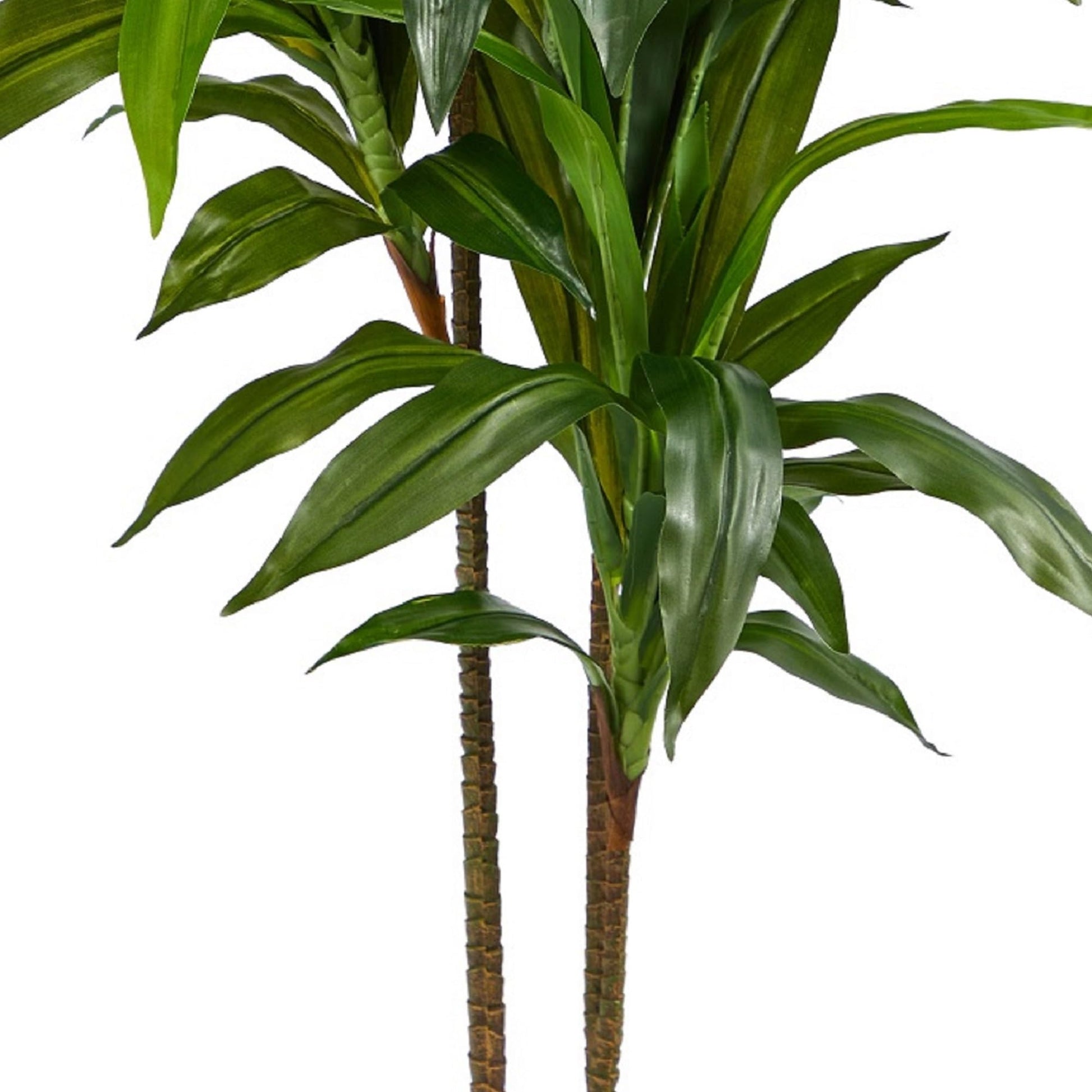 Nearly Natural 48" Dracaena Silk Plant (Real Touch) Green - The One Stop Deals