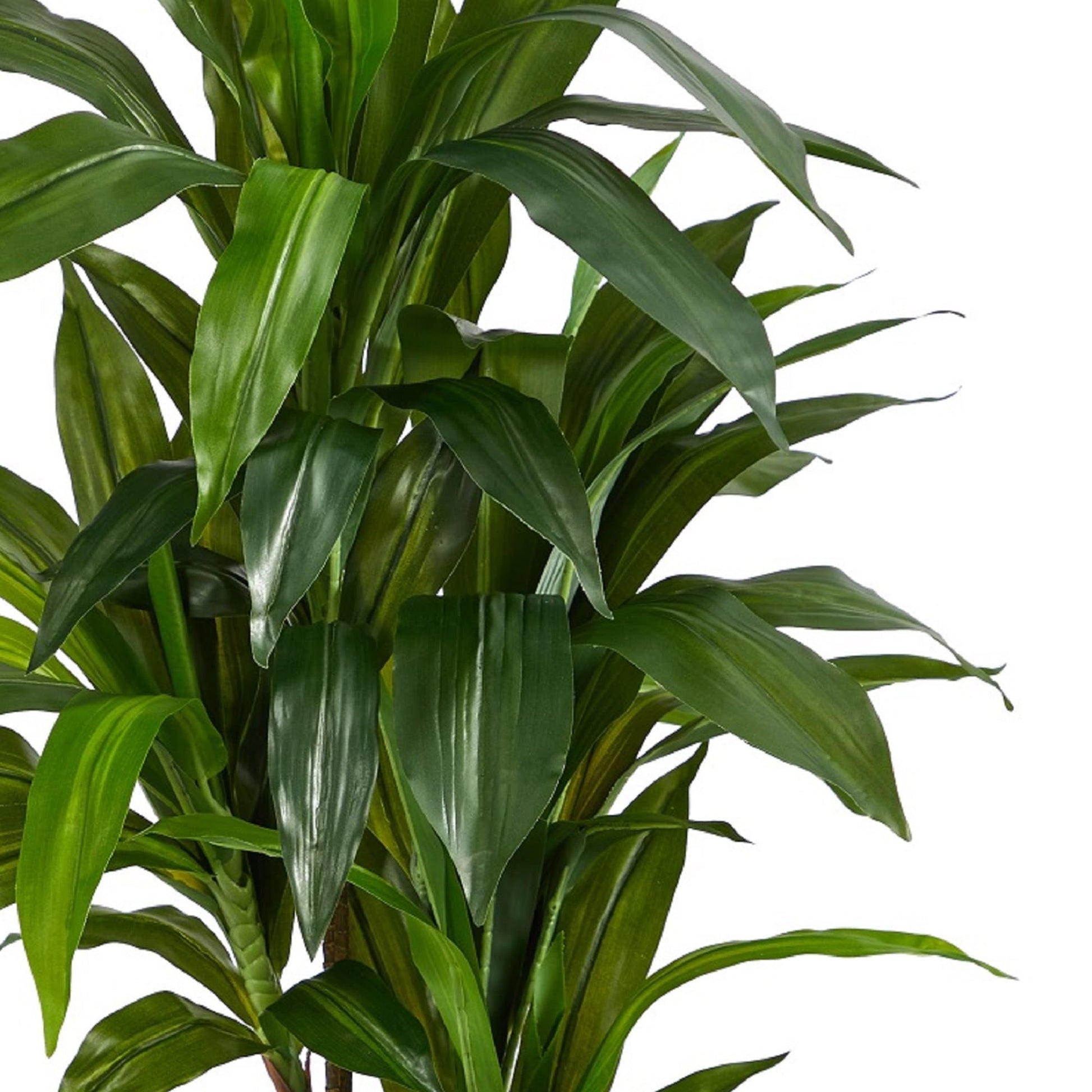 Nearly Natural 48" Dracaena Silk Plant (Real Touch) Green - The One Stop Deals